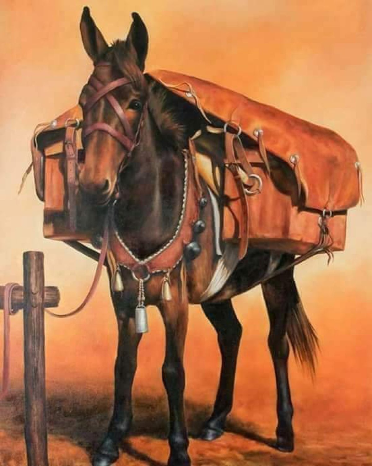 Dünden Bugüne - 24