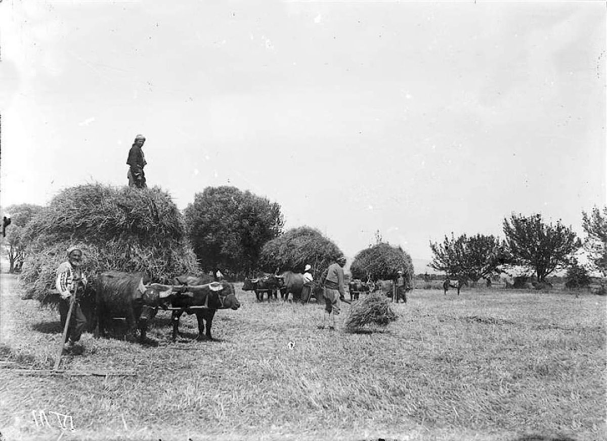 Dünden Bugüne - 21