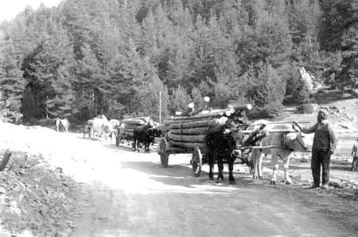 Dünden Bugüne - 61